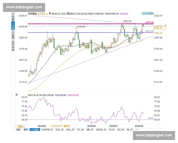 两黄一红规则解析与比赛走势深度观察及战术影响探讨全面分析策略