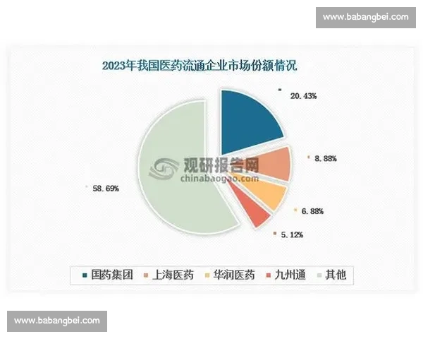 积分排名揭示竞争格局与选手实力全面分析报告